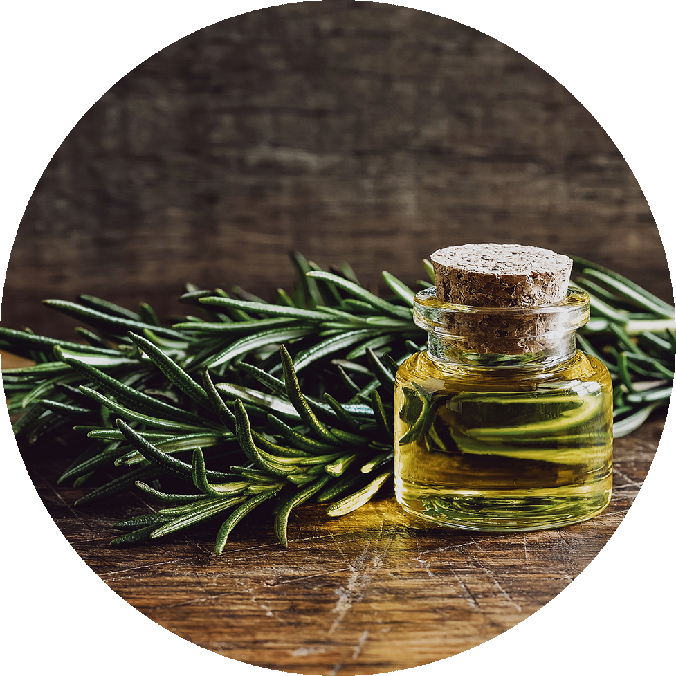 Rosemary Essential Oiland Fresh Herbs PNG Image