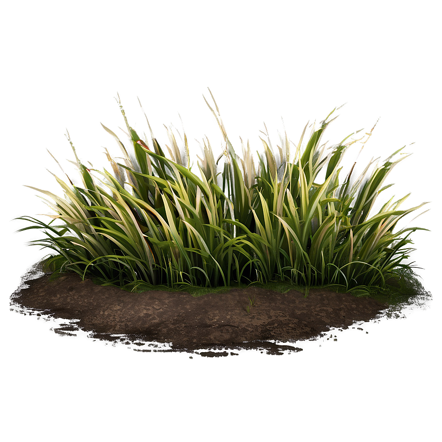 Rough Grass Patch Png 06212024 PNG Image