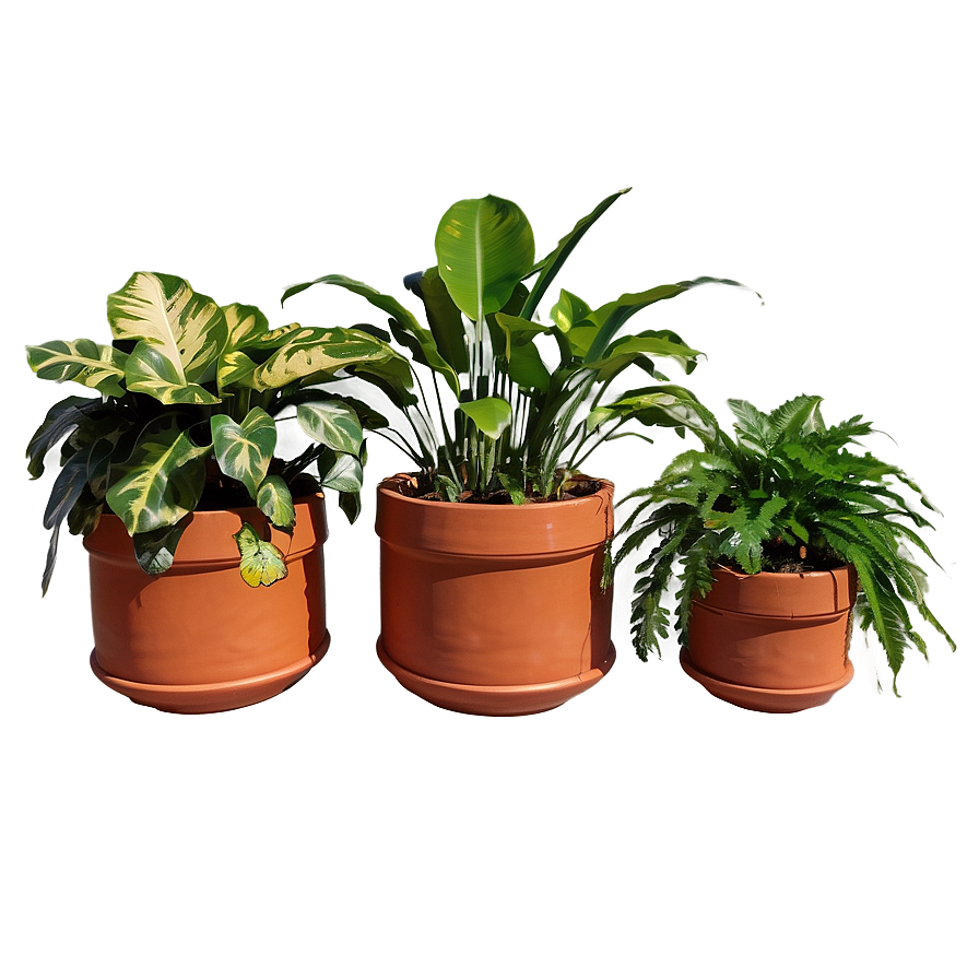 Round Planter Box Png 30 PNG Image