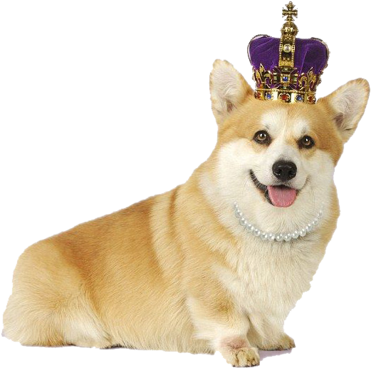 Royal Corgiwith Crownand Pearls.png PNG Image