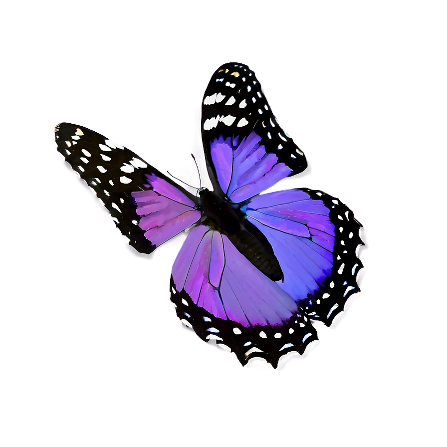 Royal Purple Butterfly Png Xqt PNG Image