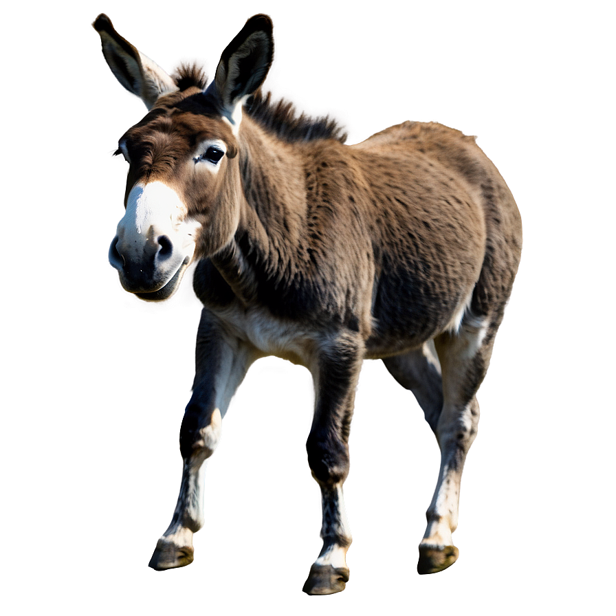 Running Donkey Png Ndh44 PNG Image