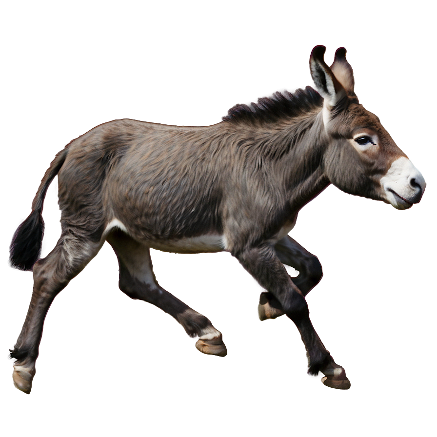 Running Donkey Png Ska PNG Image