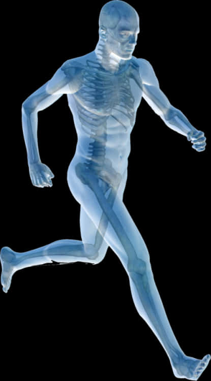 Running Human Xray Visualization PNG Image