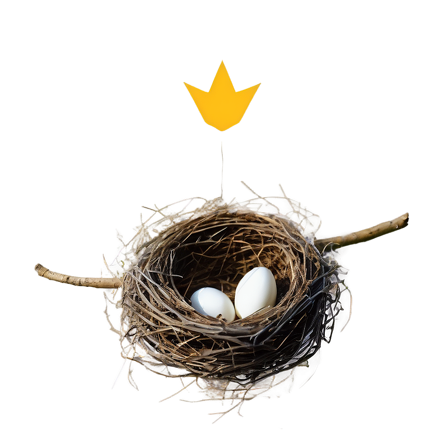 Rustic Bird Nest Png Nlp PNG Image