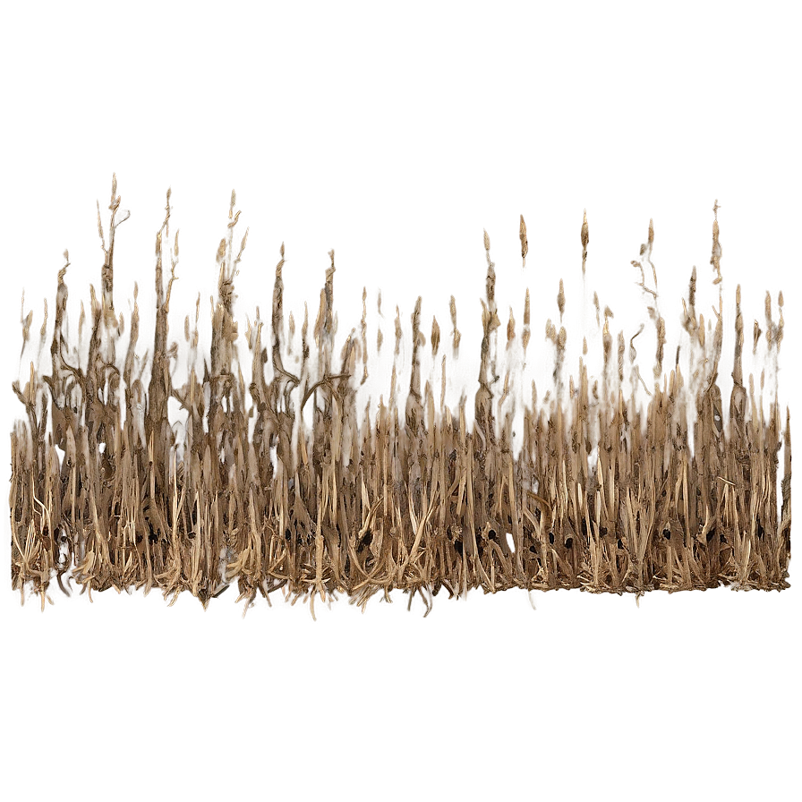 Rustic Dry Grass Png Slw81 PNG Image