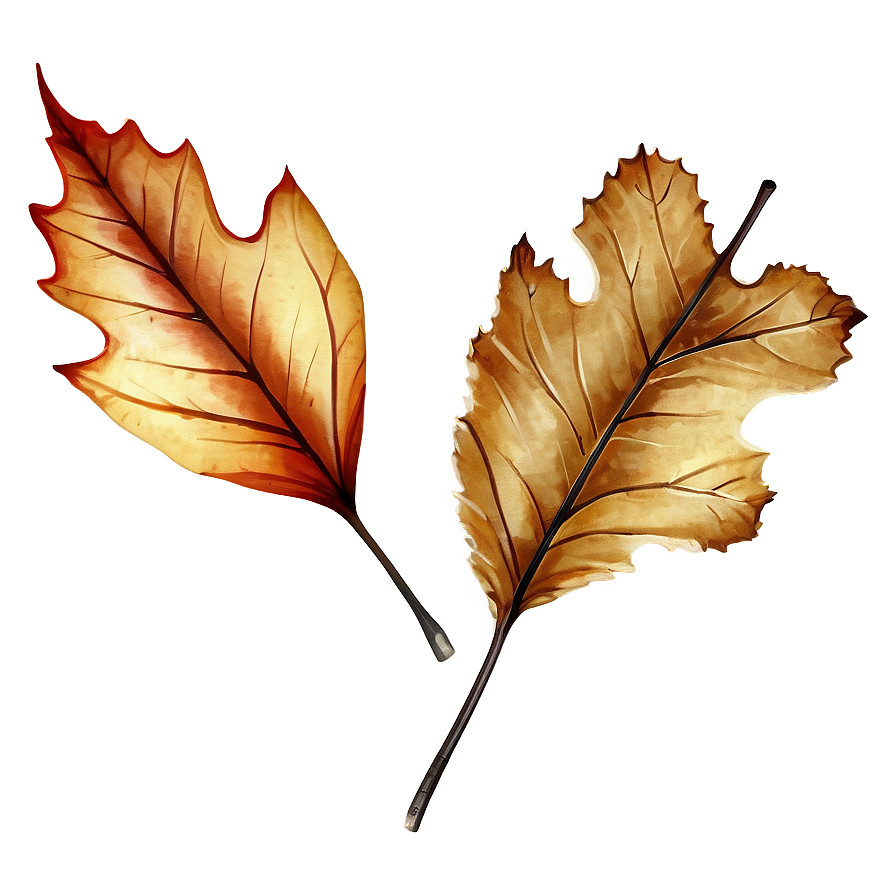 Rustic Fall Leaf Png 28 PNG Image