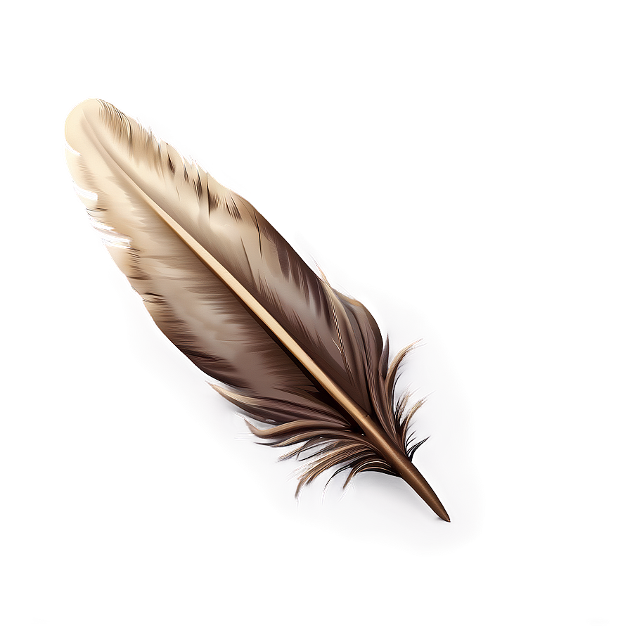 Rustic Feather Quill Png Yip PNG Image