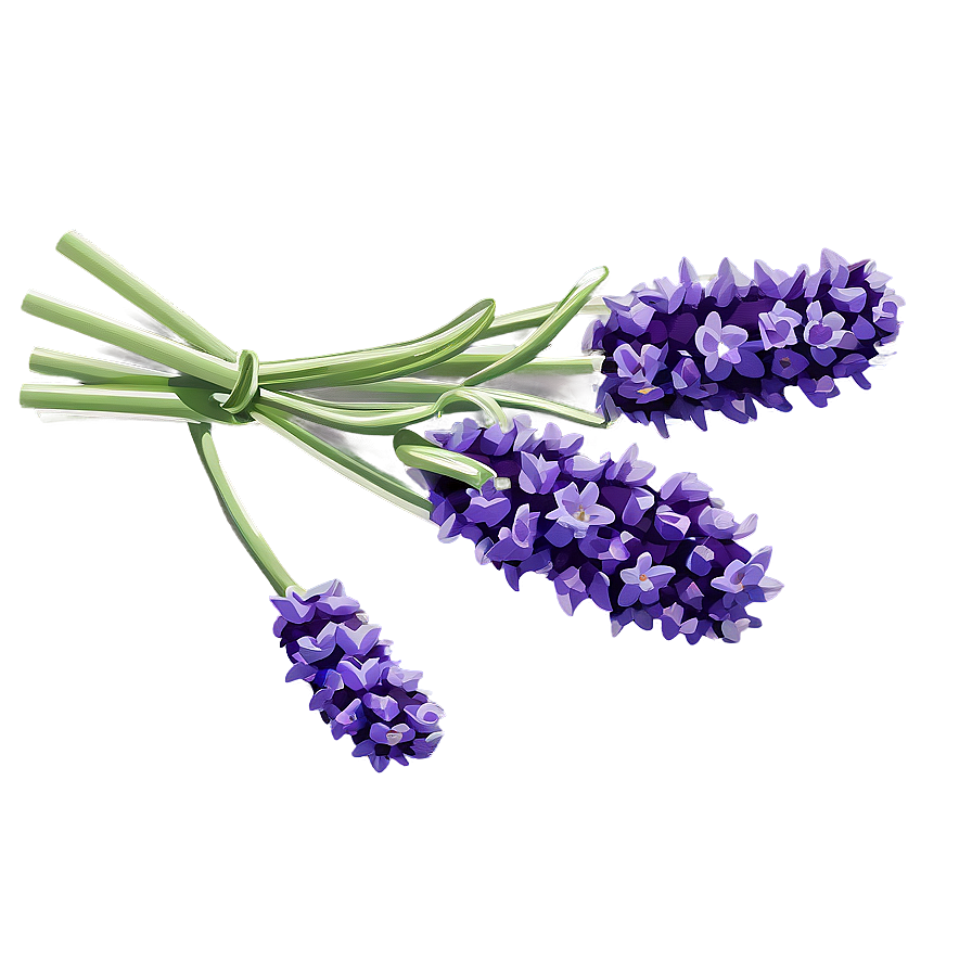 Rustic Lavender Bunch Png Gqm PNG Image