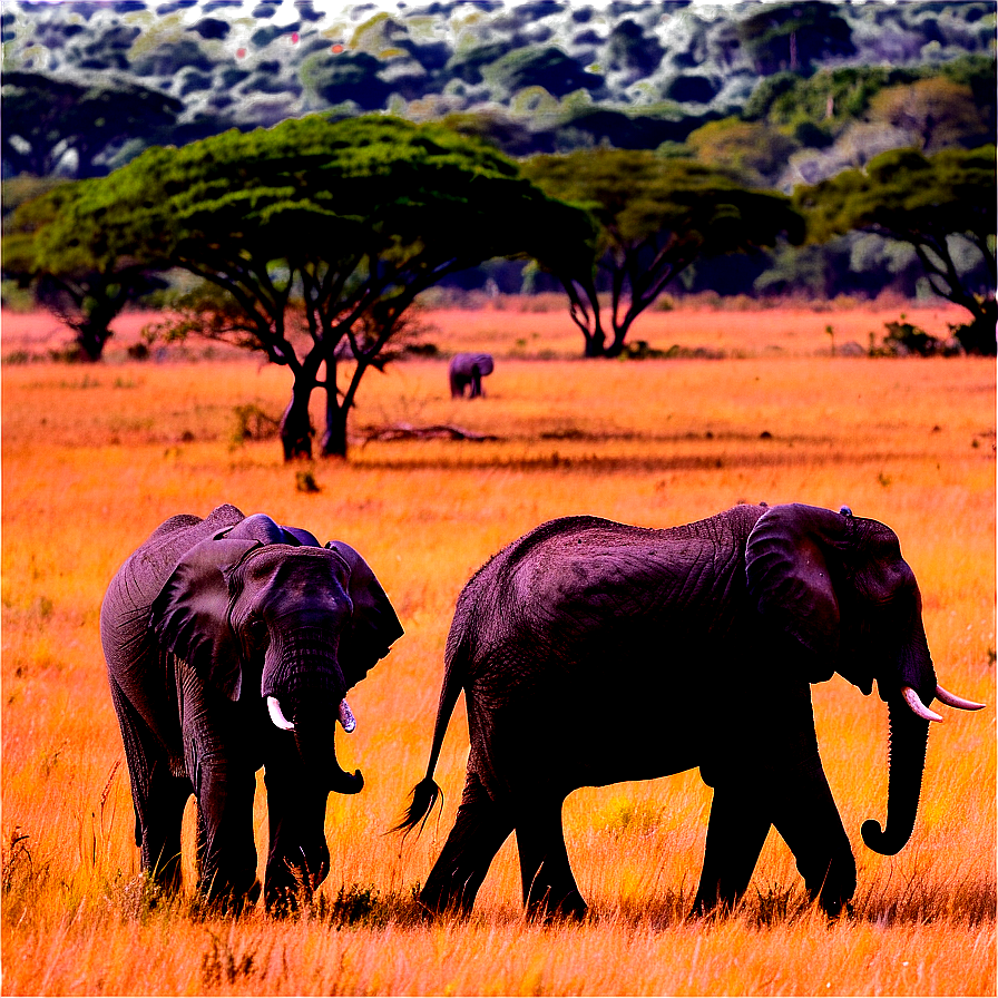 Safari Elephant Herd Png Egs PNG Image