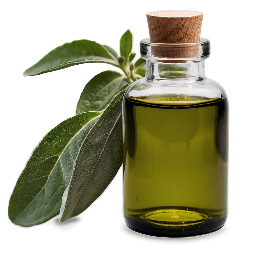 Sage Essential Oil Png 06292024 PNG Image