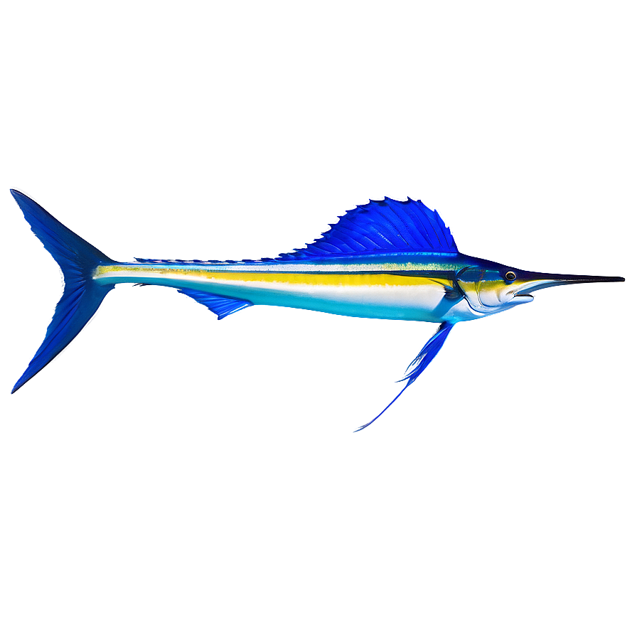 Sailfish Marine Life Png 06262024 PNG Image