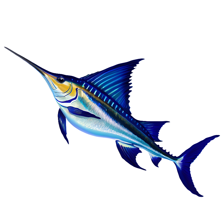 Sailfish Oceanic Journey Png Gmr23 PNG Image