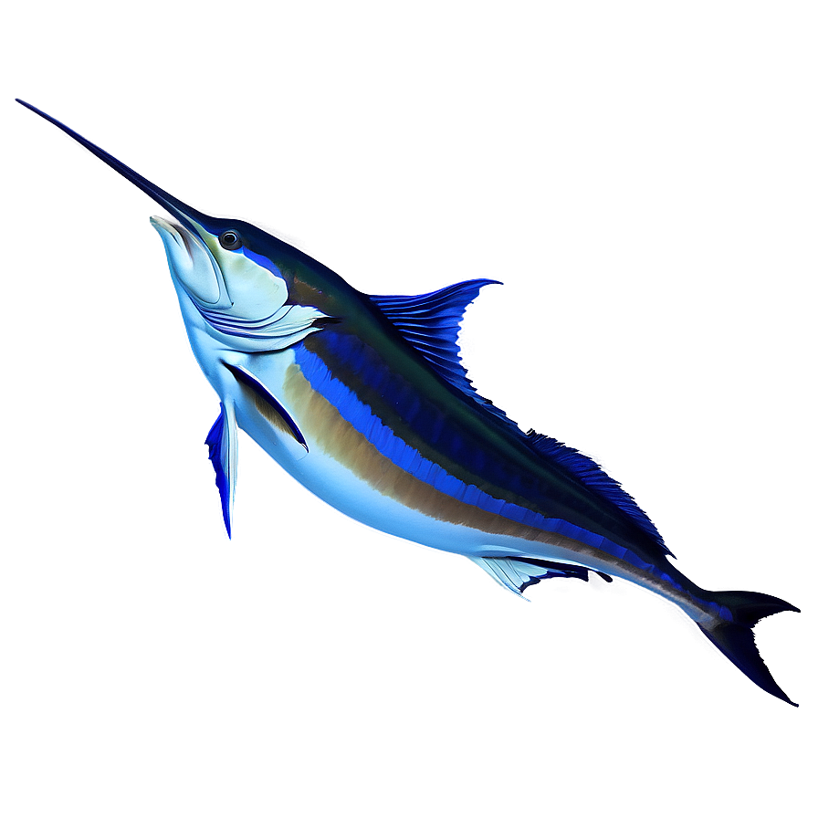 Sailfish Sunset Background Png Vlo PNG Image