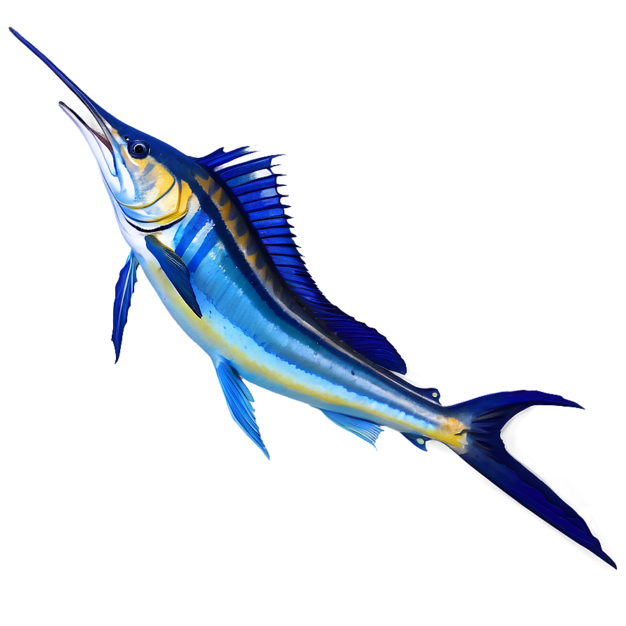 Sailfish With Open Bill Png Sny64 PNG Image