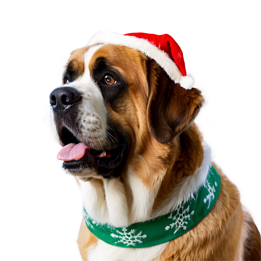 Saint Bernard In Festive Gear Png 71 PNG Image