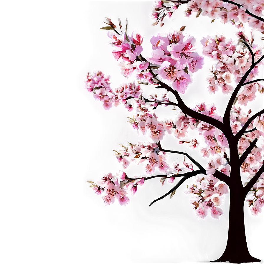 Sakura Tree A PNG Image