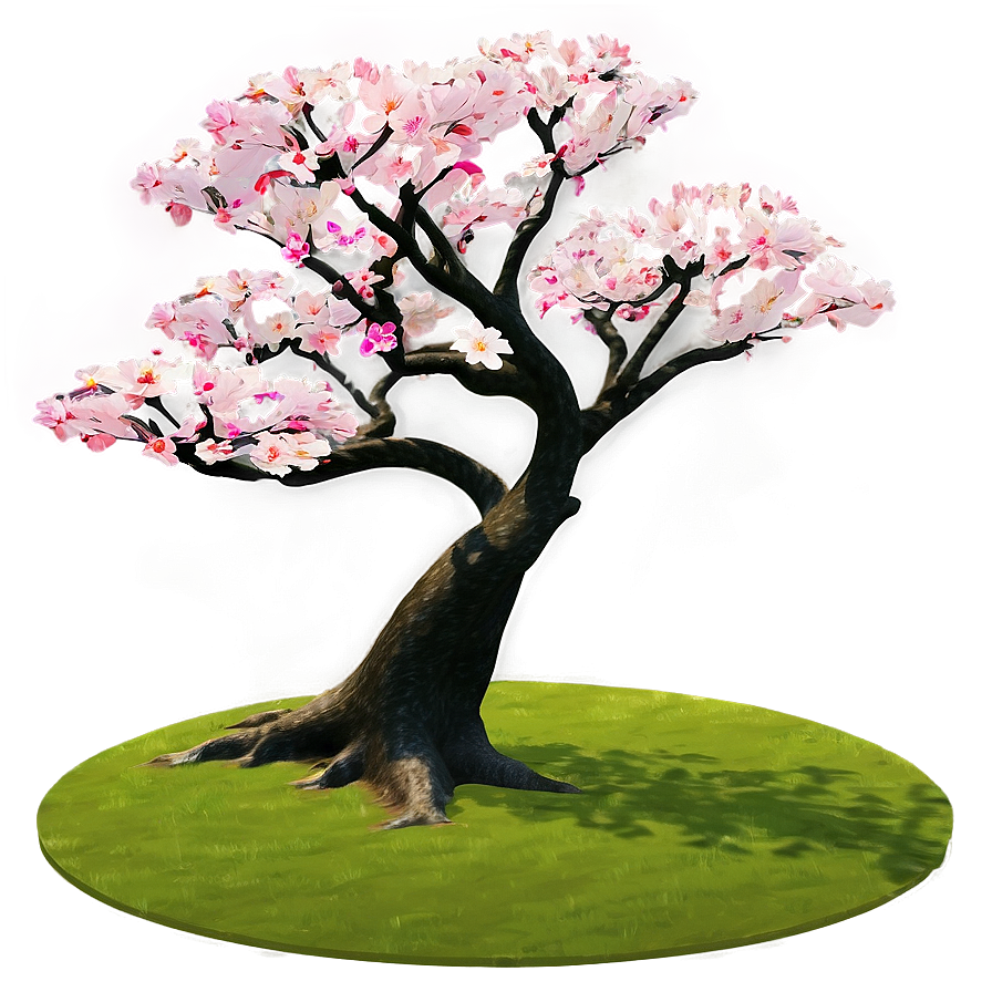 Sakura Tree In Park Setting Png 06122024 PNG Image