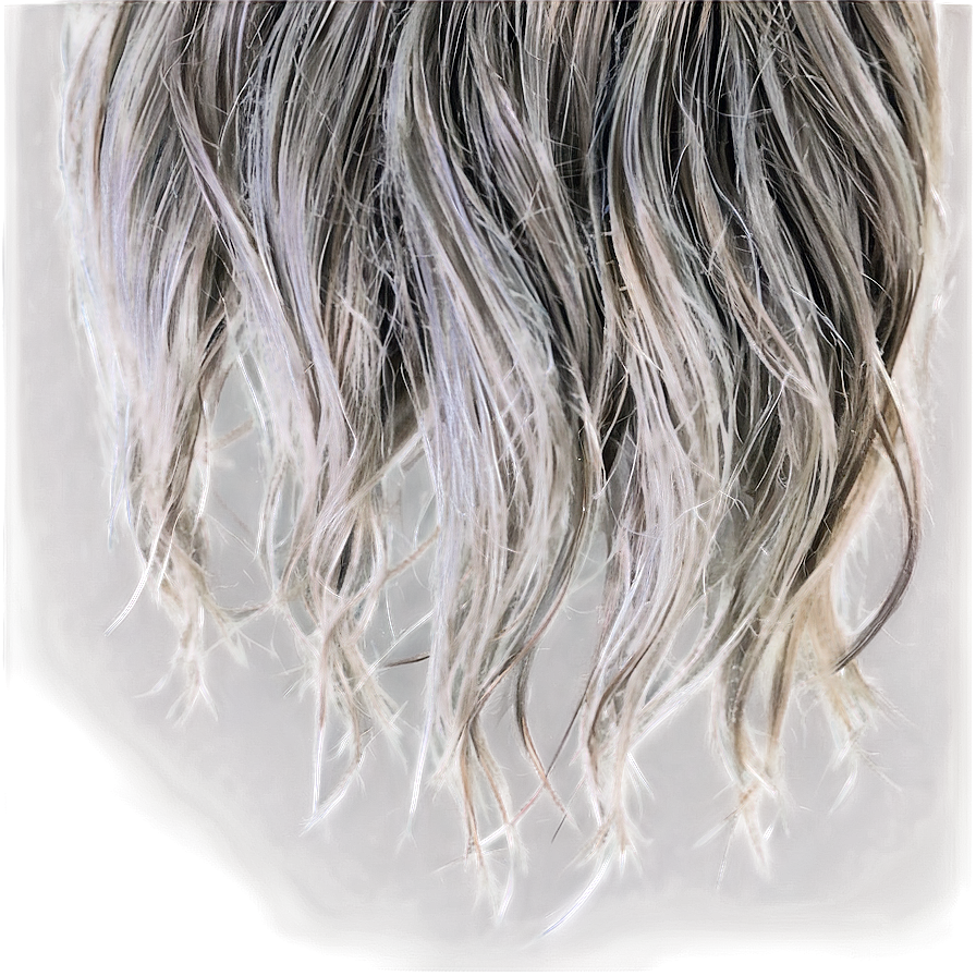 Salt And Pepper Hair Png Epe82 PNG Image