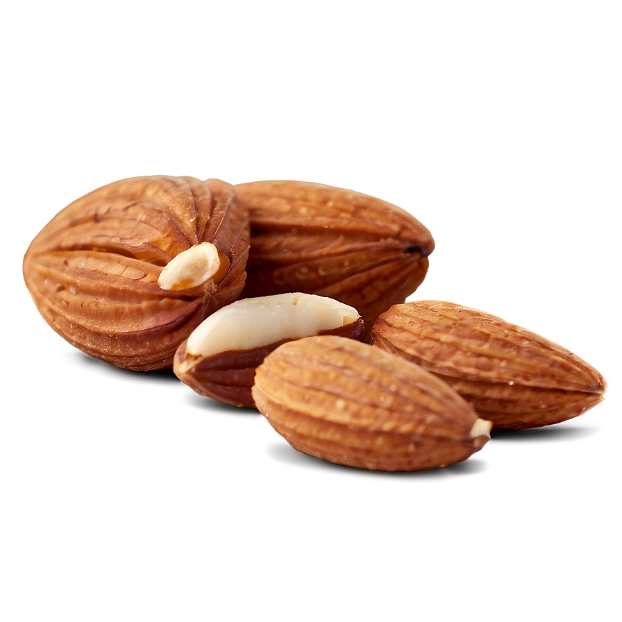 Salted Almond Png Qip PNG Image