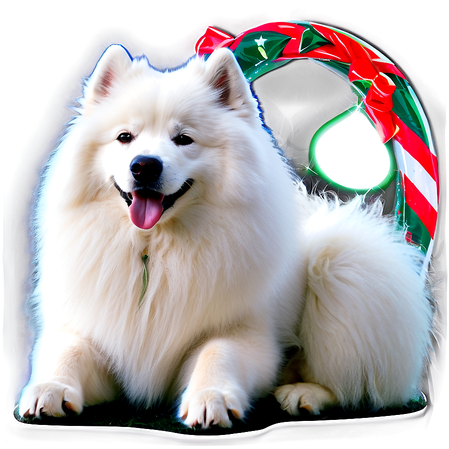 Samoyed With Festive Bow Png Jex PNG Image