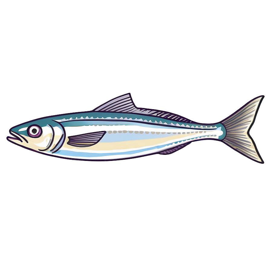 Sardine Outline Png 14 PNG Image