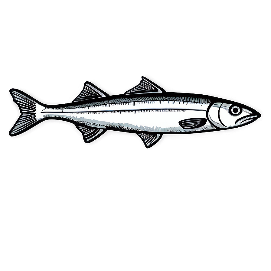 Sardine Outline Png Nvx43 PNG Image