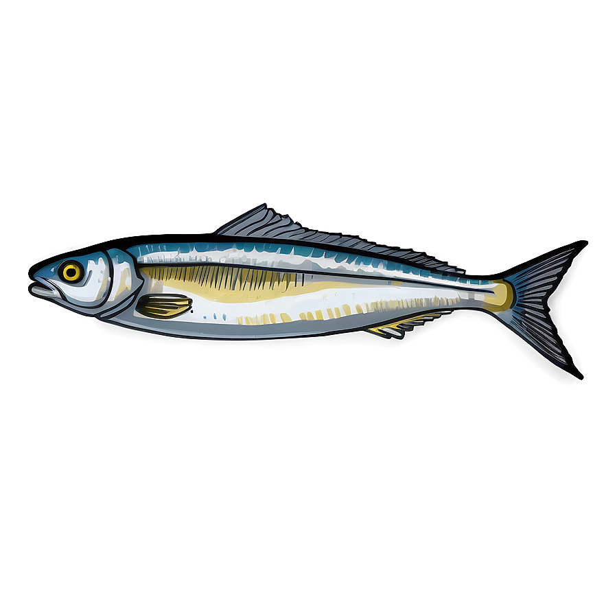 Sardine Sketch Png Wpe PNG Image