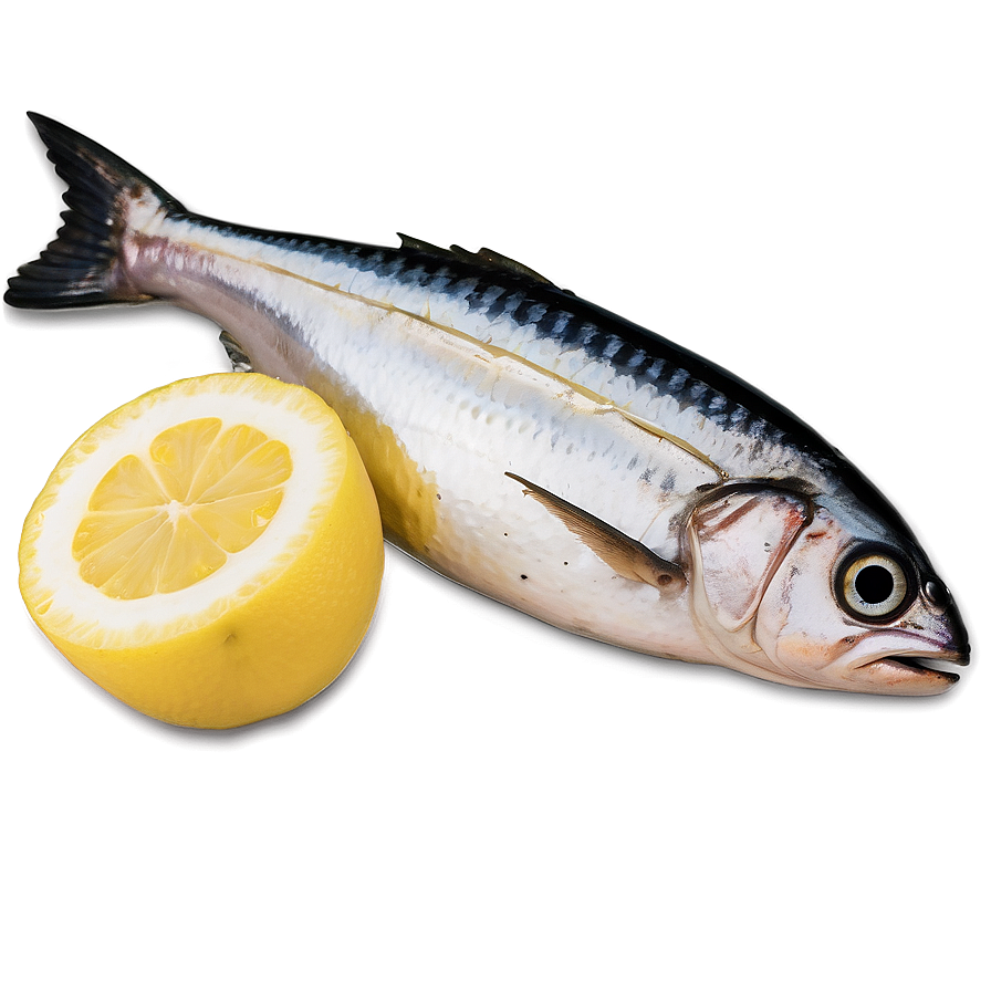 Sardine With Lemon Png 06292024 PNG Image