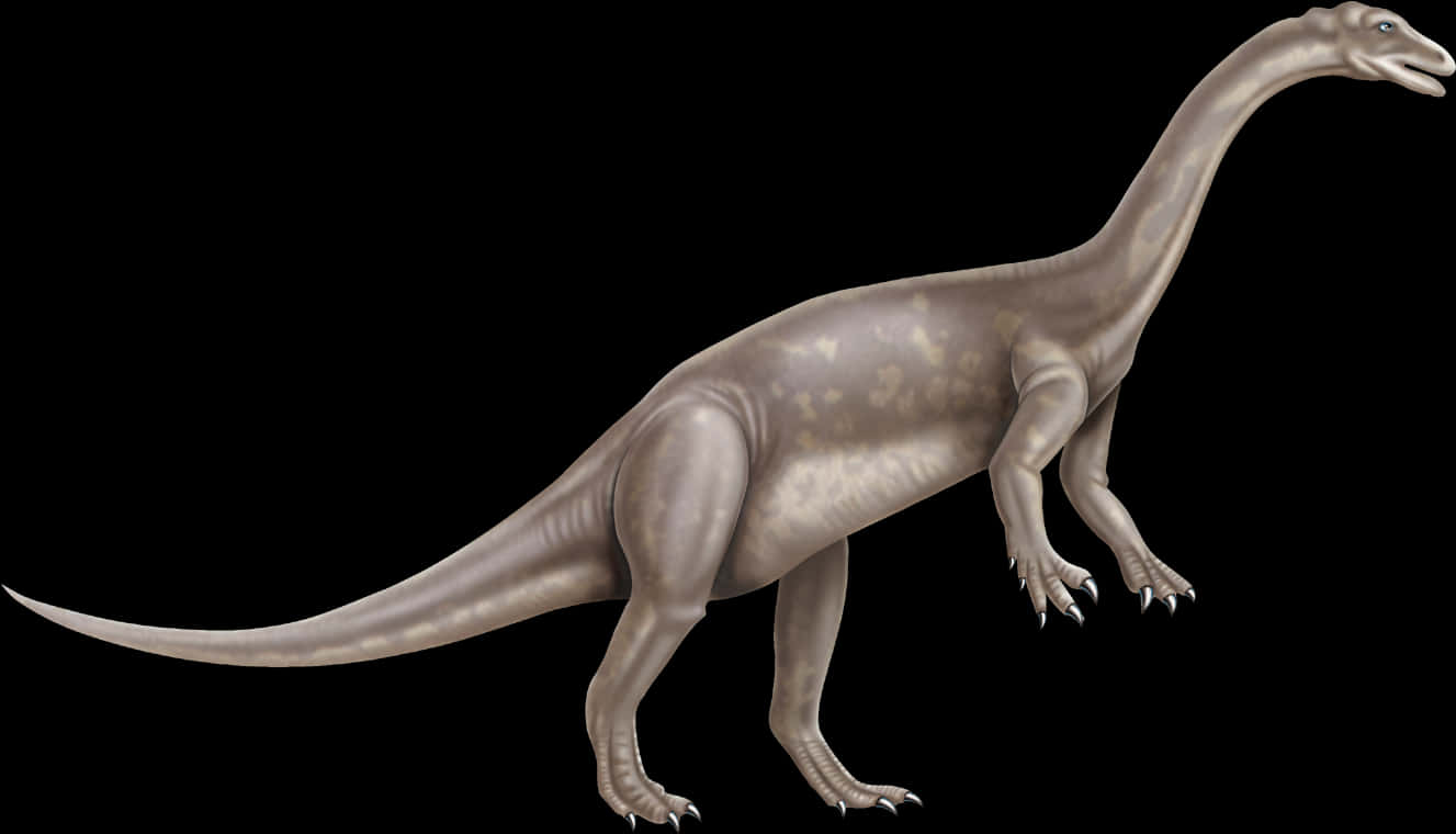 Sauropod Dinosaur Illustration PNG Image