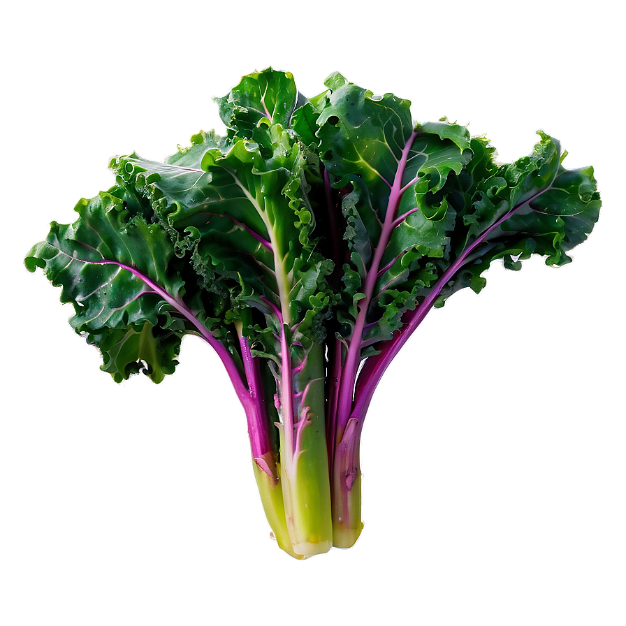 Sautéed Kale Png 06252024 PNG Image