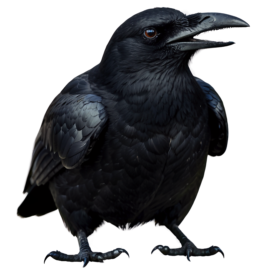 Scary Crow Png Vqj72 PNG Image