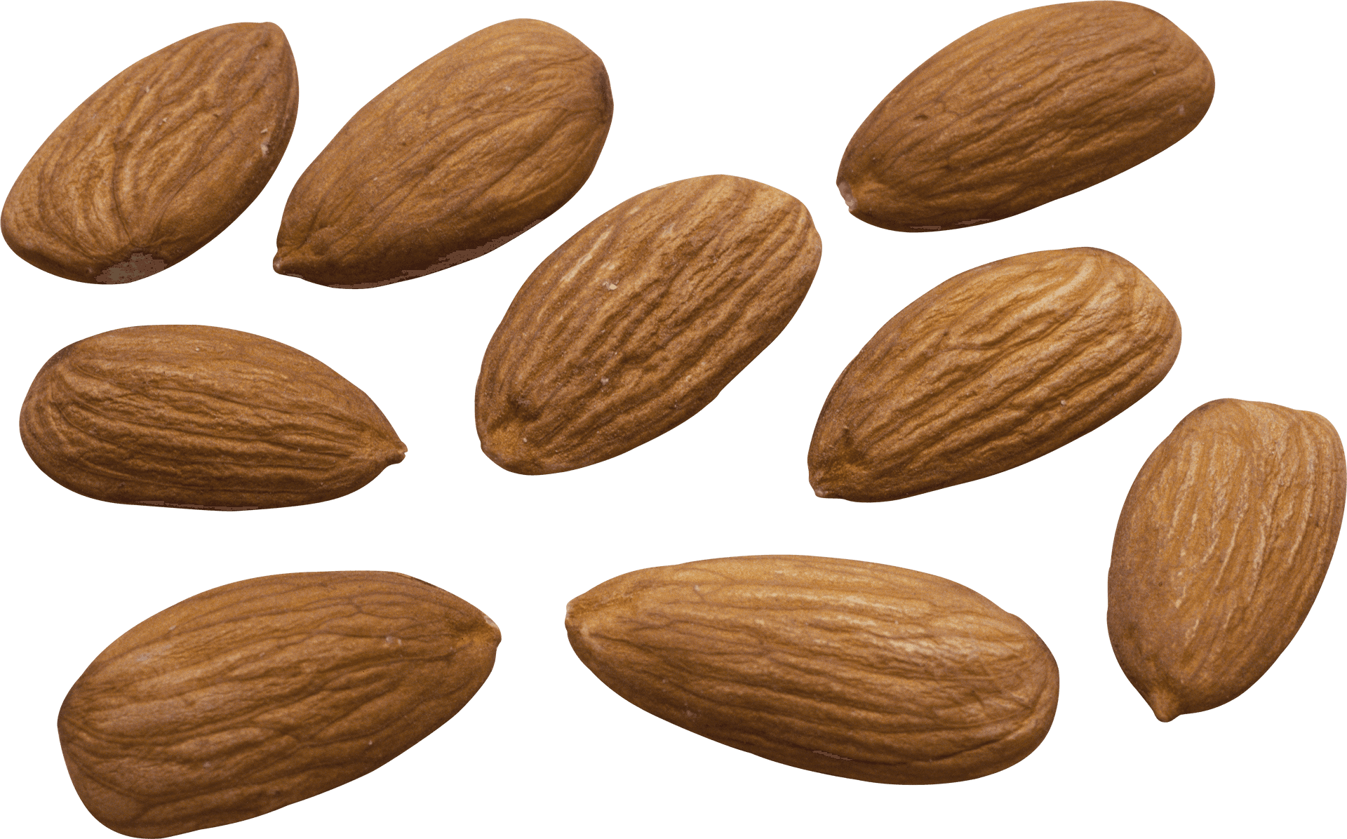 Scattered Almonds Isolated Background PNG Image