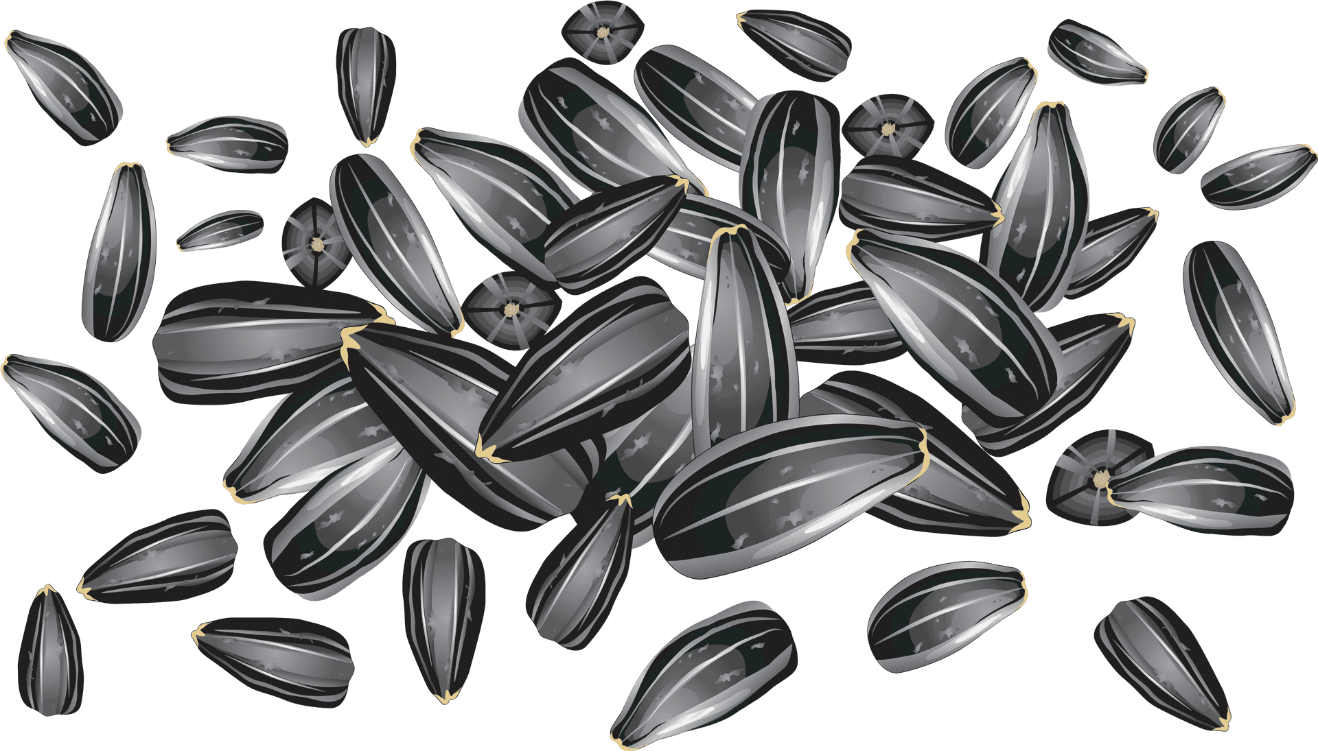 Scattered Sunflower Seeds Background PNG Image