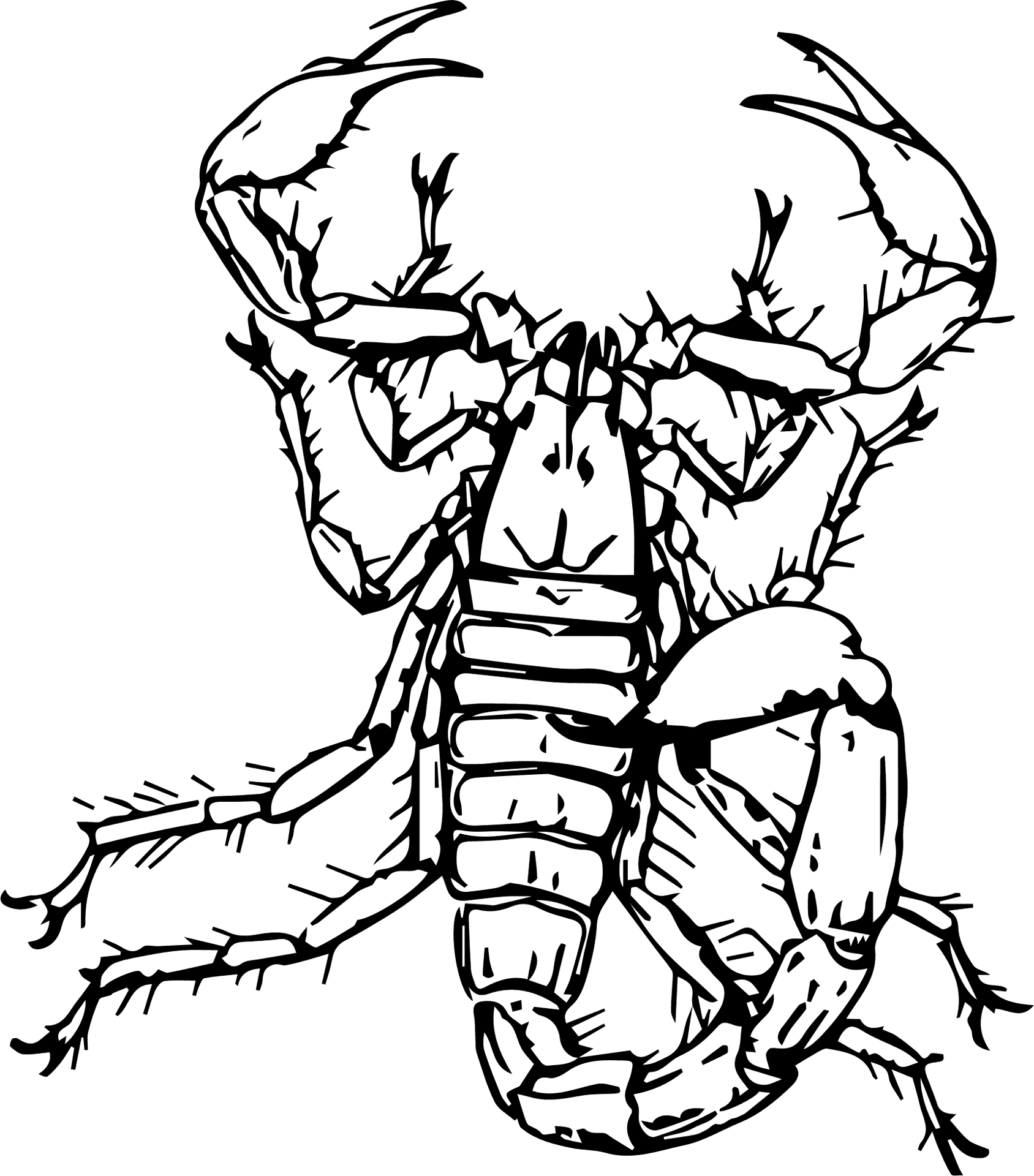 Scorpion_ Sketch_ Artwork PNG Image