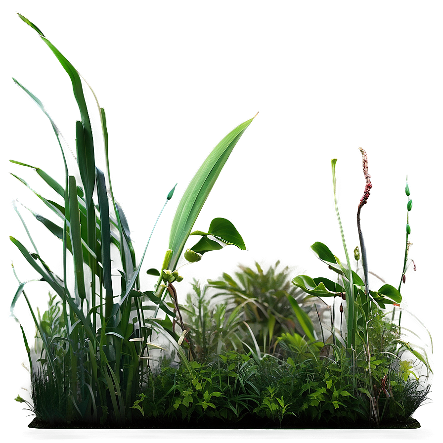 Seagrass Landscape Png Ouo PNG Image