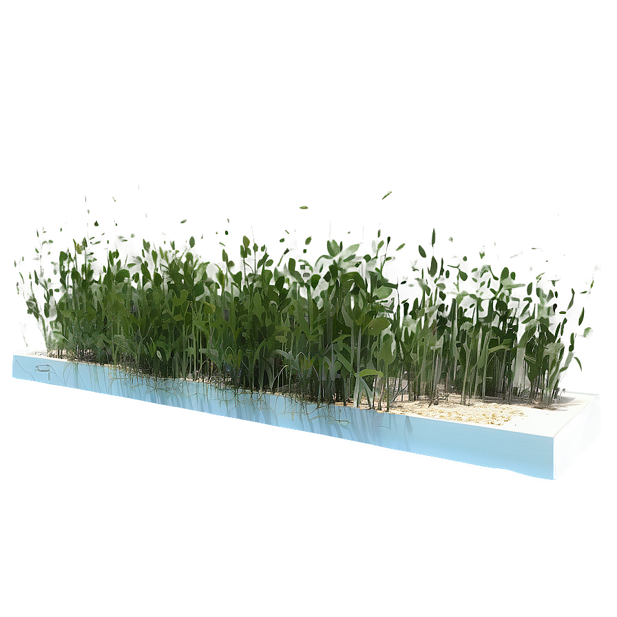 Seagrass Meadow Png 73 PNG Image