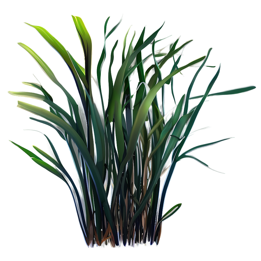 Seagrass Vector Png 9 PNG Image