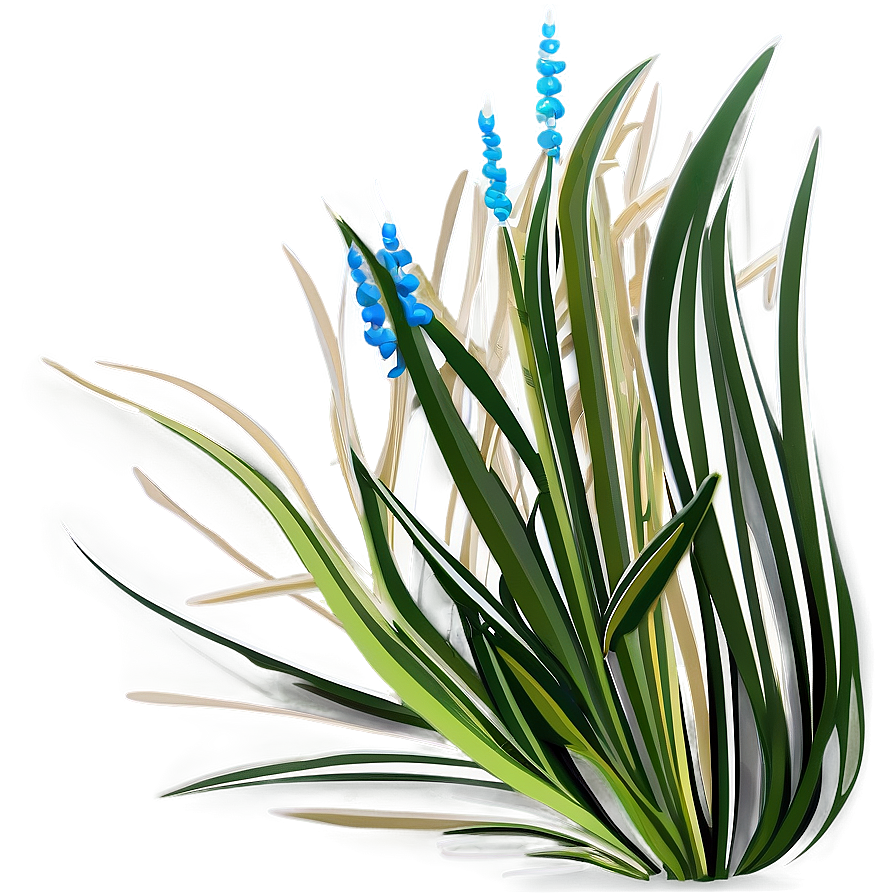 Seagrass Vector Png Ibl51 PNG Image