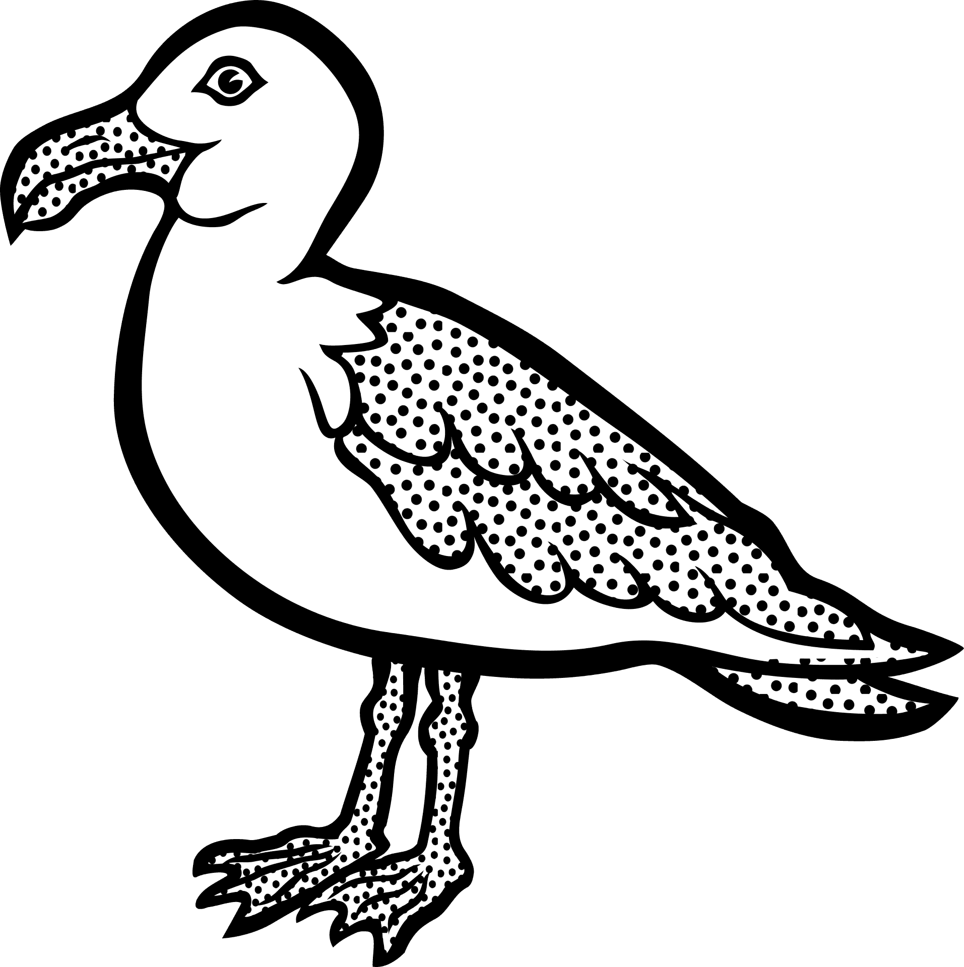 Seagull Illustration Blackand White PNG Image