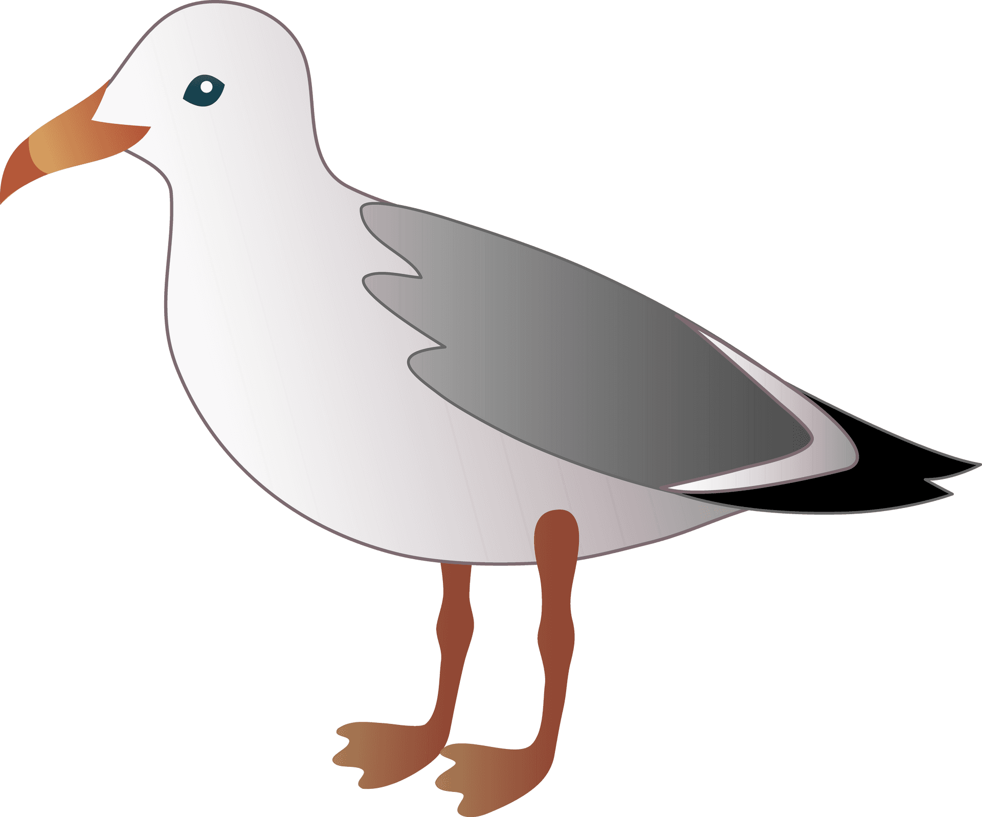 Seagull Vector Illustration PNG Image