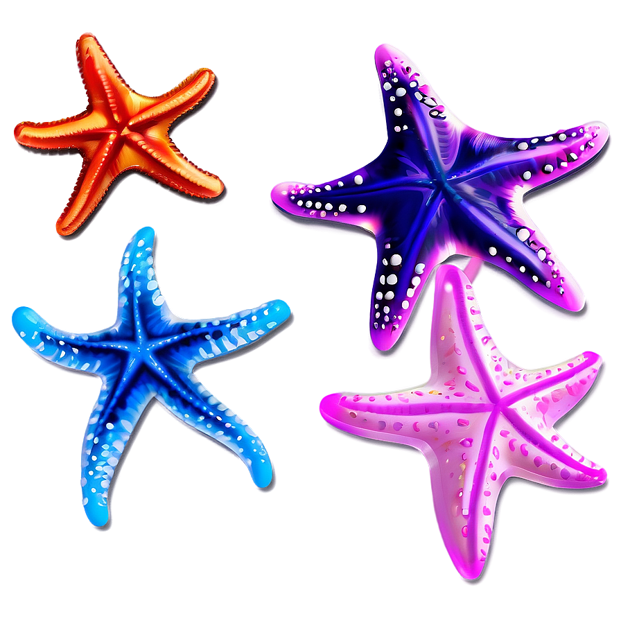 Seashell And Starfish Clipart Png 06262024 PNG Image