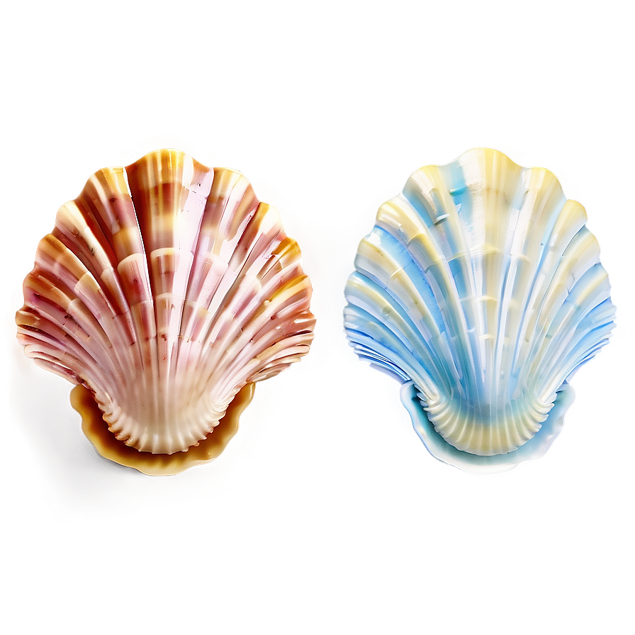 Seashell Bathroom Decor Png 34 PNG Image