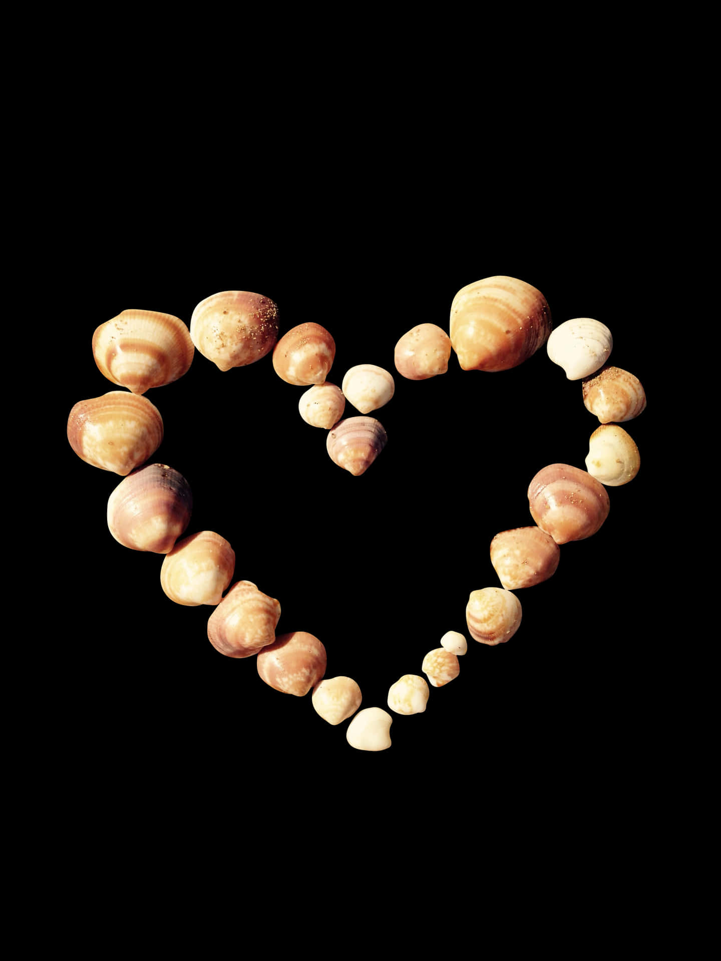 Seashell Heart Art PNG Image