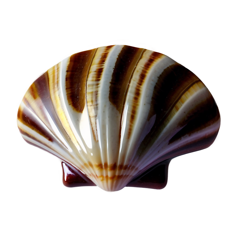 Seashell Mosaic Art Png 16 PNG Image