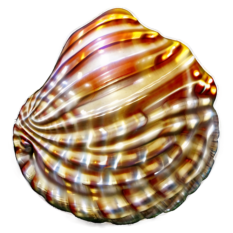 Seashell On Beach Sand Png Qjv5 PNG Image