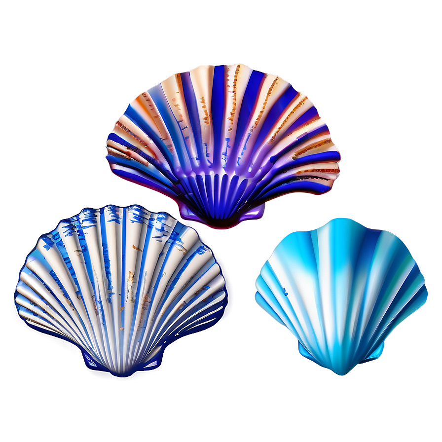 Seashell Sketches Png Jrq PNG Image