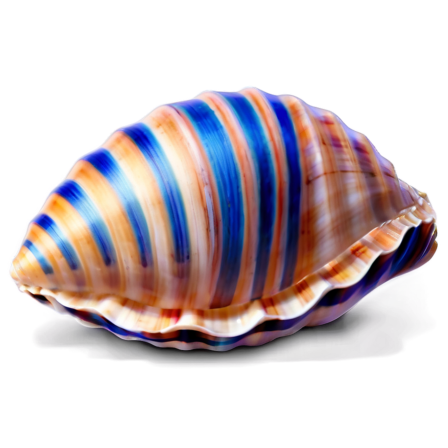 Seashell Summer Png 06132024 PNG Image