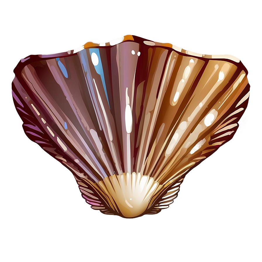 Seashell Vector Art Png Kef75 PNG Image