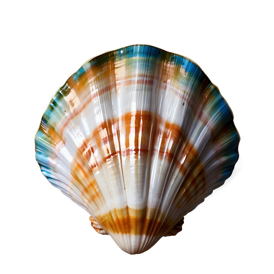 Seashell Wedding Decoration Png 05242024 PNG Image